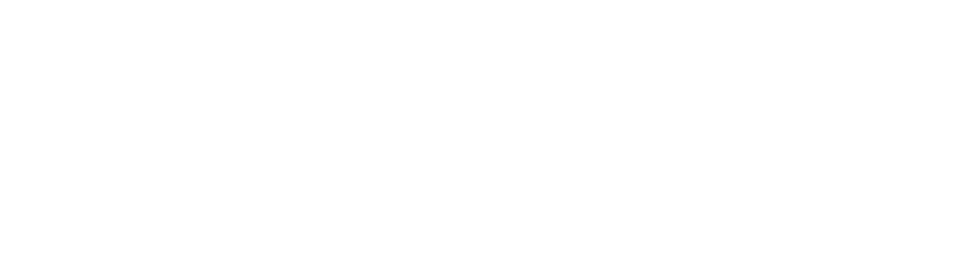 Analytics Institute Logo